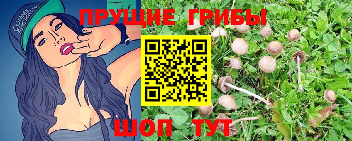Псилоцибиновые грибы Magic Shrooms  Вход с VPN  где купить наркоту  Воскресенск 